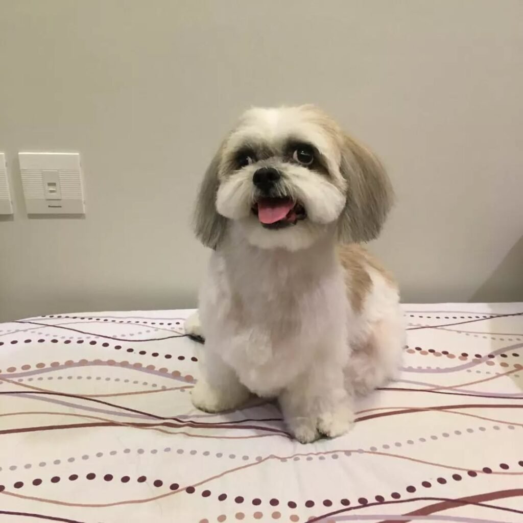 whatsapp image 2025 12 02 at 19.47.43 af51a3ea