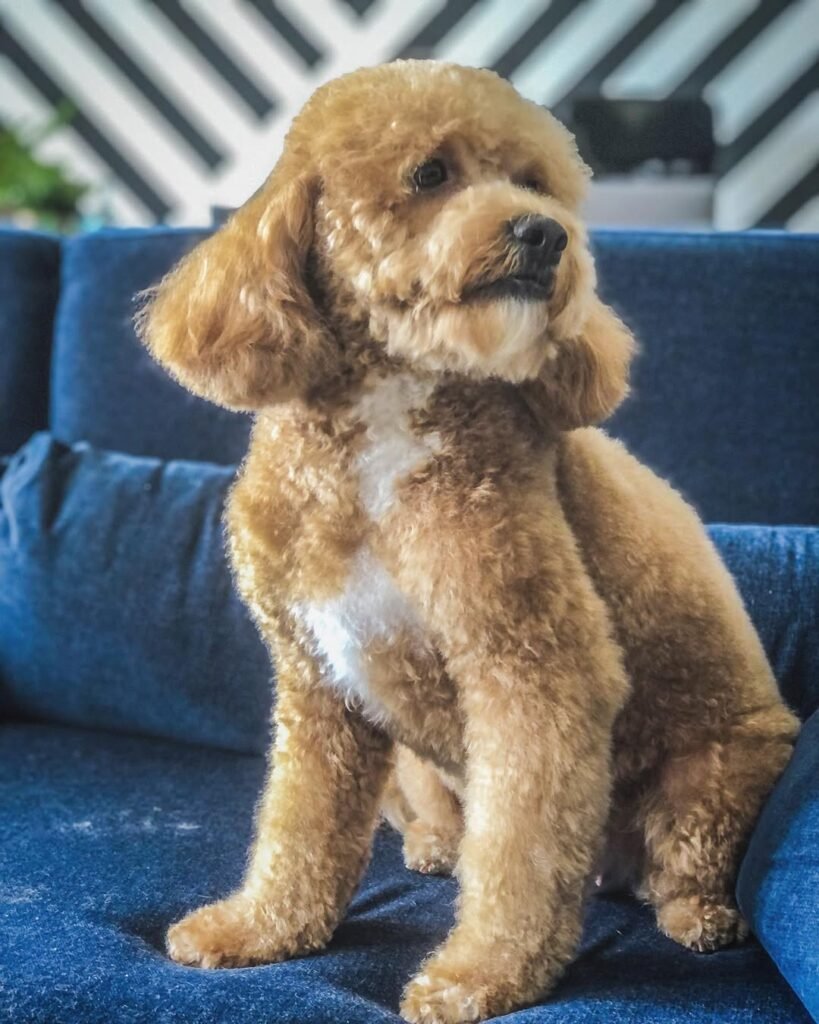 whatsapp image 2025 12 02 at 19.47.44 fe1edc02