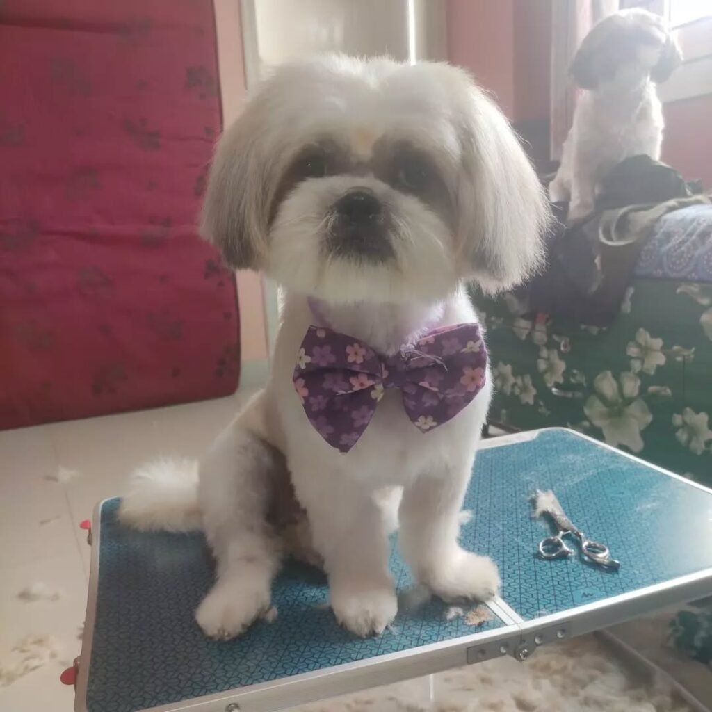 whatsapp image 2025 12 02 at 19.47.45 d3101f6f