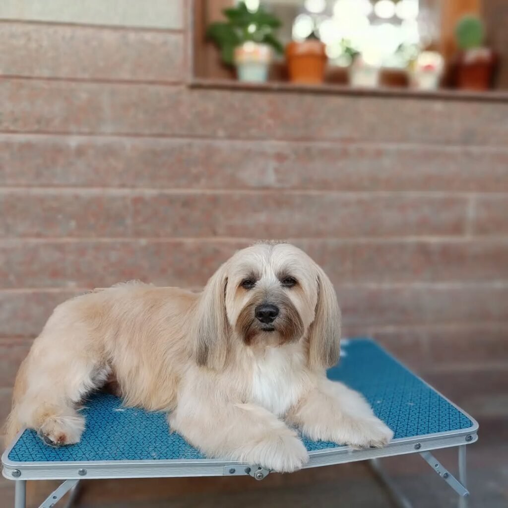 whatsapp image 2025 12 02 at 19.47.46 3e9414e9