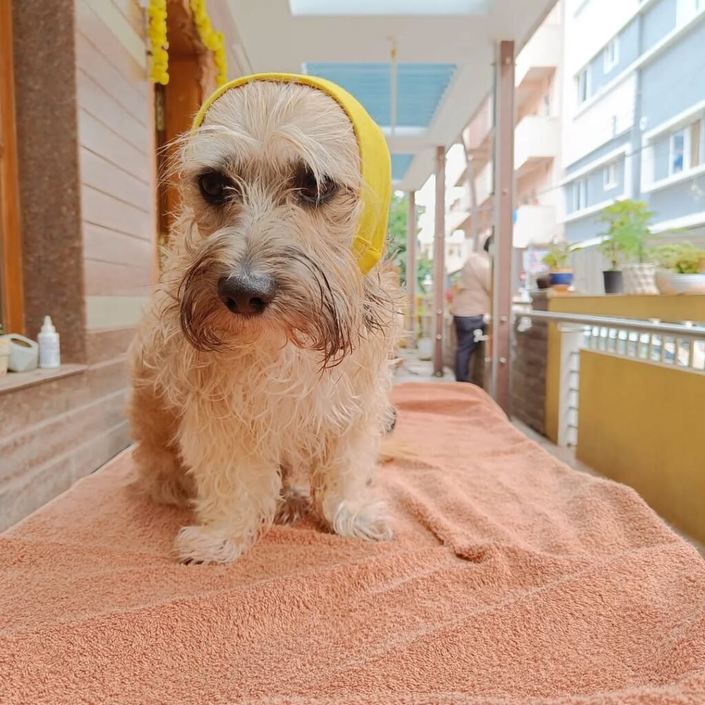 whatsapp image 2026 02 13 at 10.38.45 pm